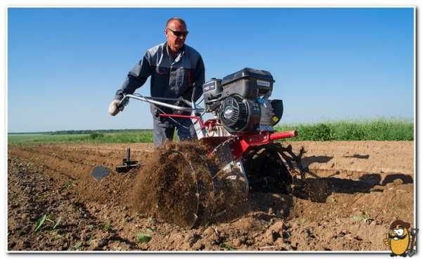 Как копать землю под картошку