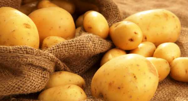 Какого числа выкапывают картошку
