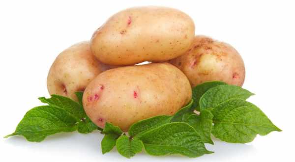 Картошка при поносе