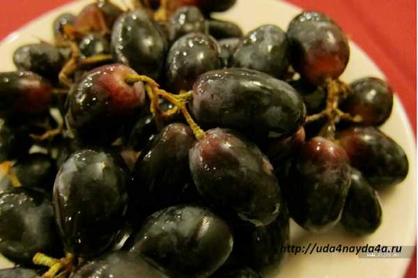 Моченый виноград с горчицей рецепт