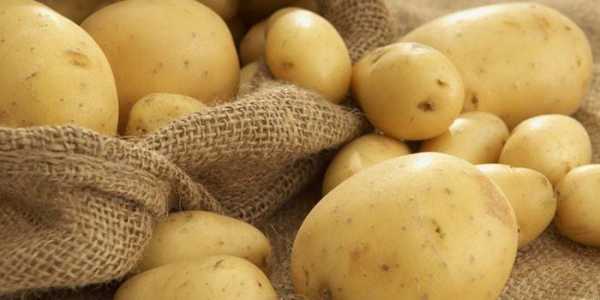 Почему картошку нельзя на диете