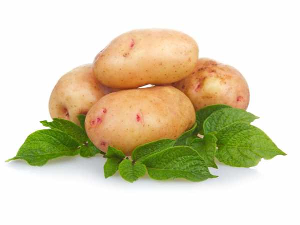 Похудеть на картошке