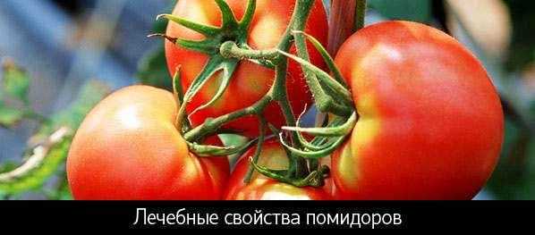 Польза помидоров для организма женщины