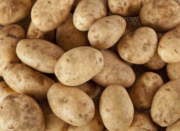 Сколько белка в вареной картошке