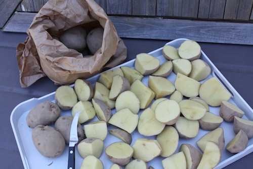 Собирать картошку на огороде сон