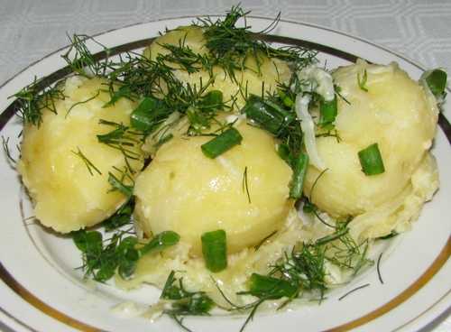 Вареная картошка со сметаной